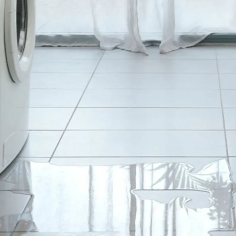 Appliance Leak Cleanup in Sunnyside, NY