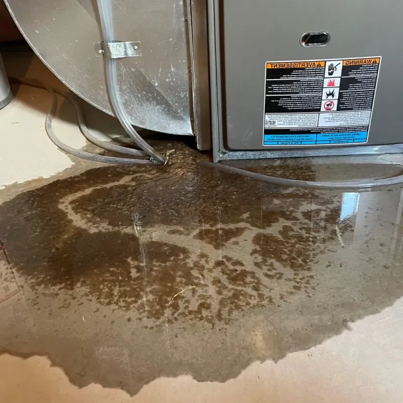 Pipe Burst and Leak Restoration in Sunnyside, NY